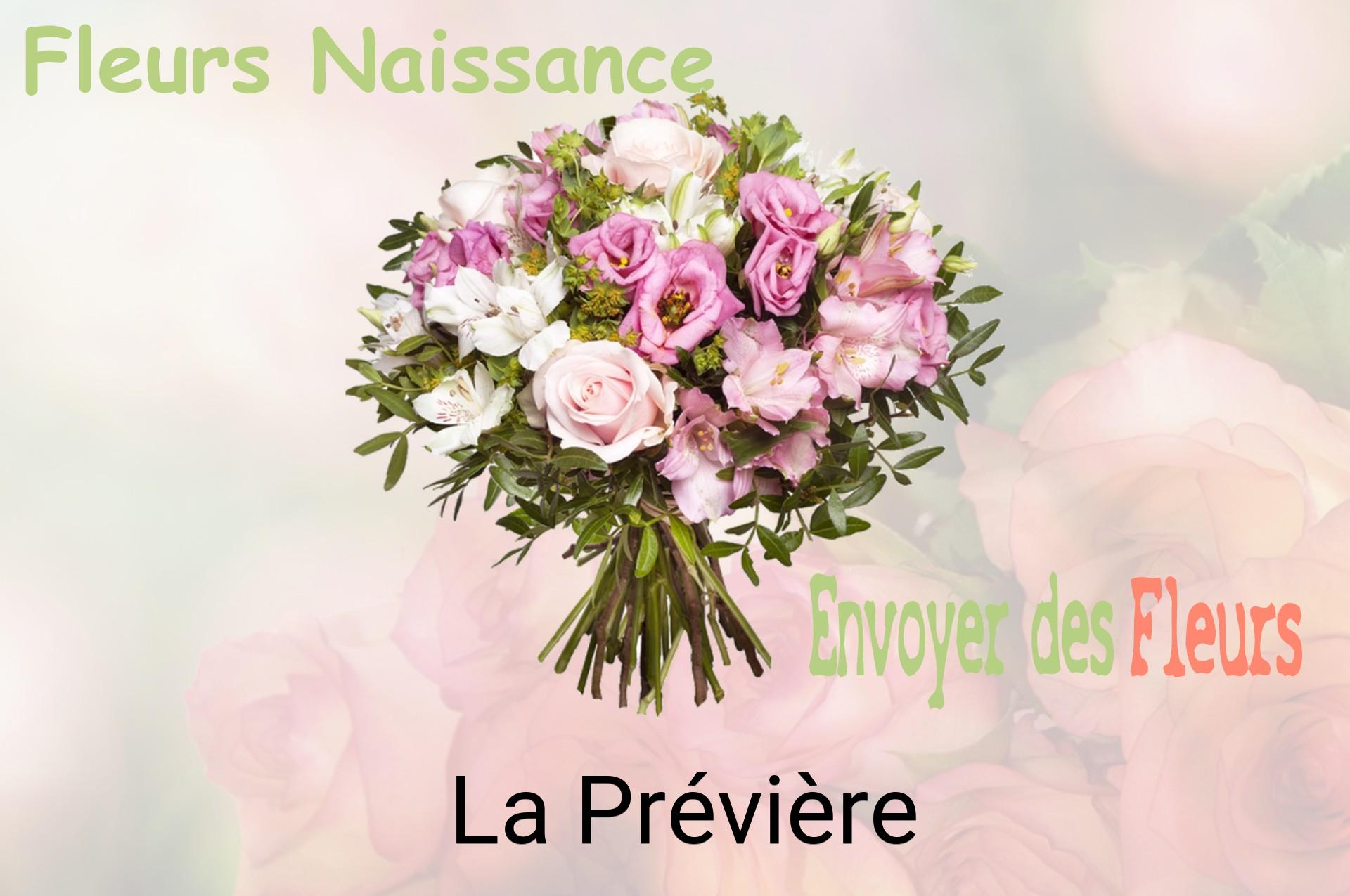 Bouquet de fleurs de naissance livré à La Prévière